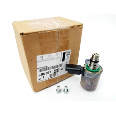 Régulateur Carburant Pompe à Injection Pour Peugeot Ford Citroën Land Rover