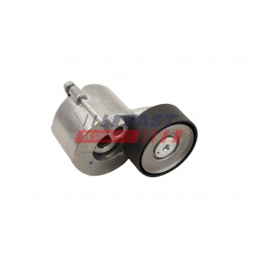 Tendeur de Courroie d'Accessoire Pour VW Crafter Transporter MAN