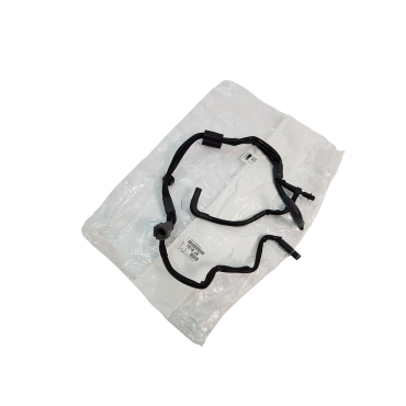 Tuyau de Pompe à Vide Pour Citroën DS5