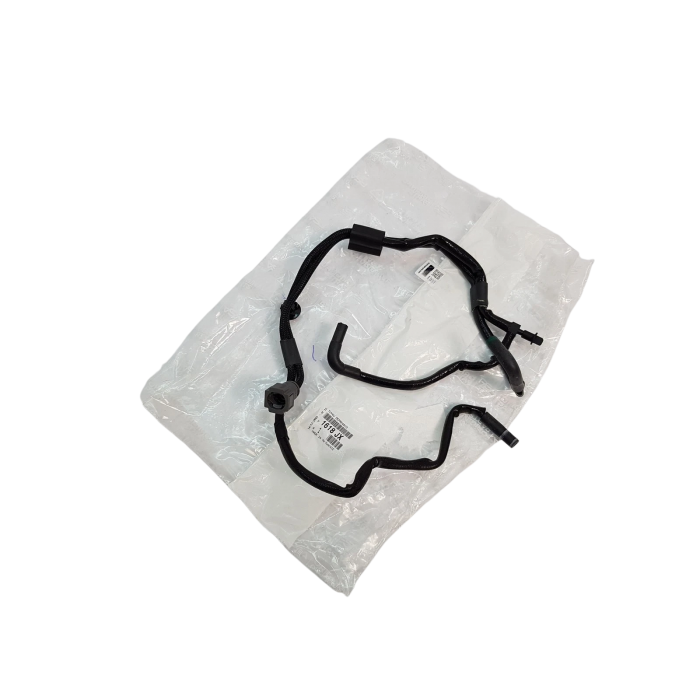 Tuyau de Pompe à Vide Pour Citroën DS5