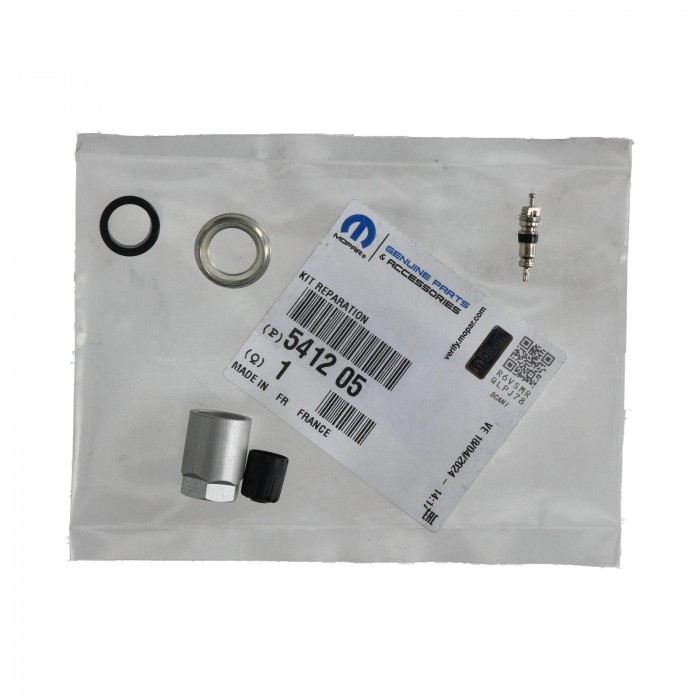 Kit Réparation Contrôle Pression Pneu Pour Peugeot 207 307 407 607 1007 C4 C5