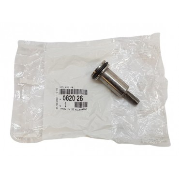 Boulon de Poulie d'Arbre à Cames Pour Peugeot BMW Série 1 F20 Citroën Mini