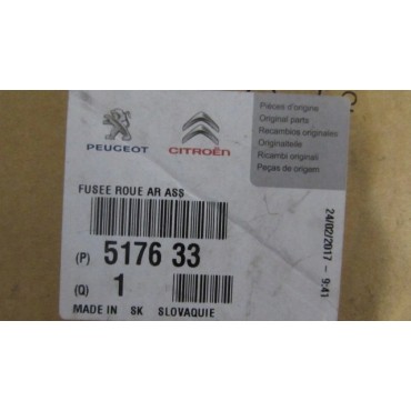 Fusée d'Essieu Arrière Pour Citroën C3