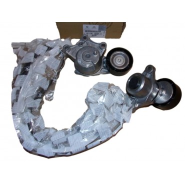 Kit Galet Courroie d'Accessoire Pour Peugeot 208 2008 I Citroën C4 DS3 DS4 DS
