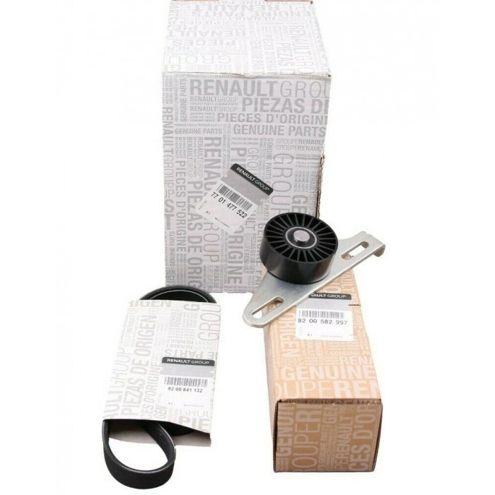 Kit Galet Courroie d'Accessoire Pour Renault Clio II Dacia Nissan 7701477522