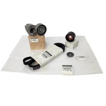 Kit Galet Courroie d'Accessoire Pour Renault Opel Nissan Mitsubishi 117200713R