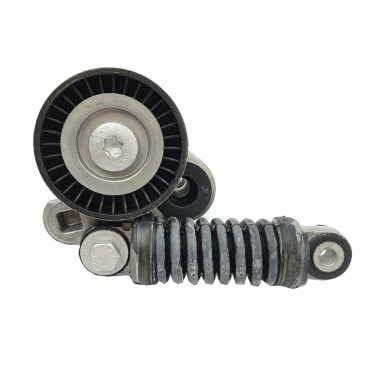 Kit Galet Courroie d'Accessoire Pour Renault Clio II