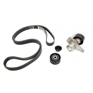 Kit Galet Courroie d'Accessoire Pour Renault Opel Movano B Nissan Vauxhall