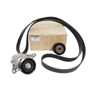 Kit Galet Courroie d'Accessoire Pour Renault Opel Fiat Nissan 117200334R