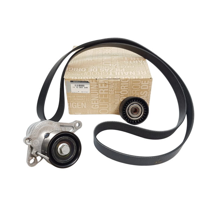 Kit Galet Courroie d'Accessoire Pour Renault Opel Fiat Nissan 117200334R