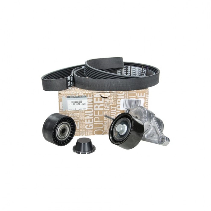 Kit Galet Courroie d'Accessoire Pour Renault Master III