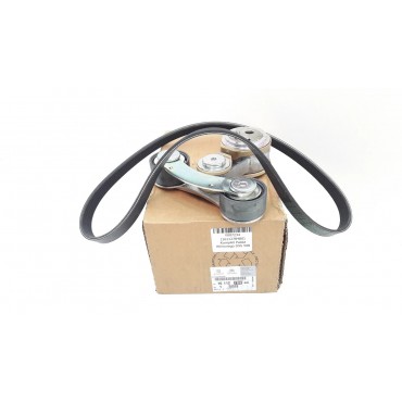 Kit Galet Tendeur Courroie Distribution Pour Peugeot 508 3008 Citroën DS DS5