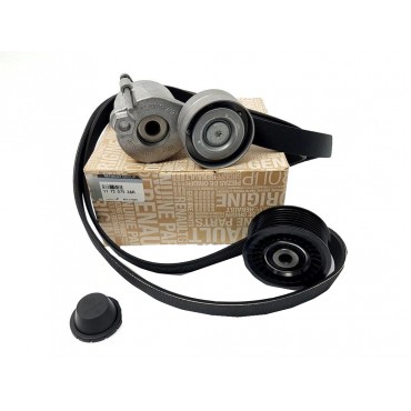 Kit Galet Courroie d'Accessoire Pour Renault Grand Scénic III Megane