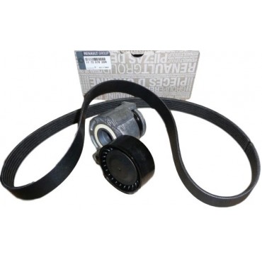 Kit Galet Courroie d'Accessoire Pour Renault Captur Clio II III IV Dacia Nissan