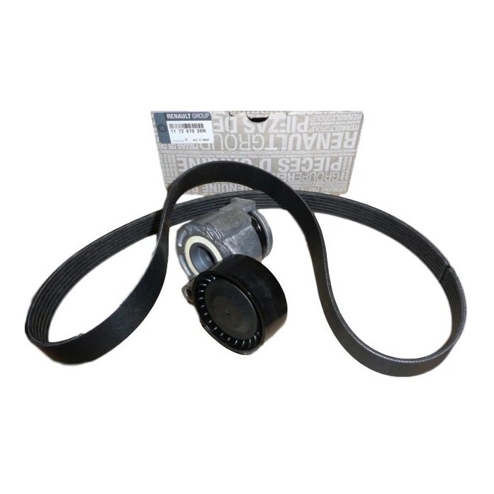 Kit Galet Courroie d'Accessoire Pour Renault Captur Clio II III IV Dacia Nissan