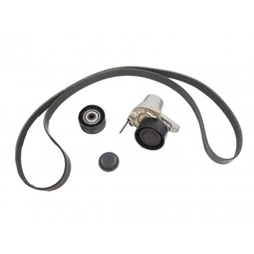 Kit Galet Courroie d'Accessoire Pour Renault Opel Fiat Nissan NV300 117205040R