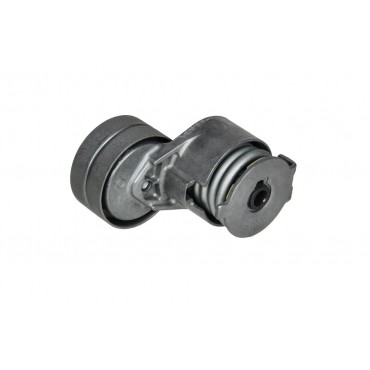 Galet Tendeur Courroie d'Accessoire Pour Renault Clio III Grand Scénic II