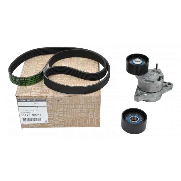 Kit Galet Courroie d'Accessoire Pour Renault Opel Movano Vivaro A Nissan