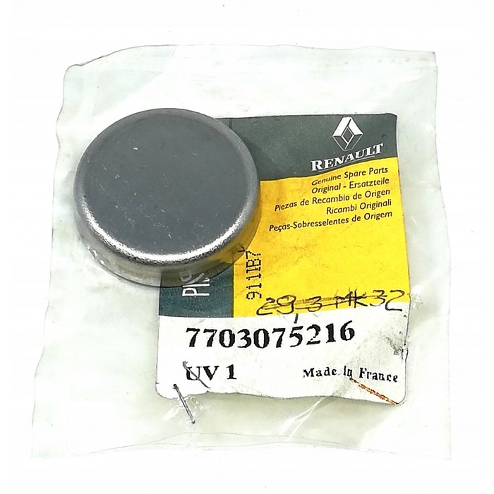 Capuchon de Bloc Moteur Pour Renault Clio II Laguna