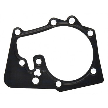 Joint de Pompe à Eau Pour Renault Clio II III Fluence Dacia Nissan