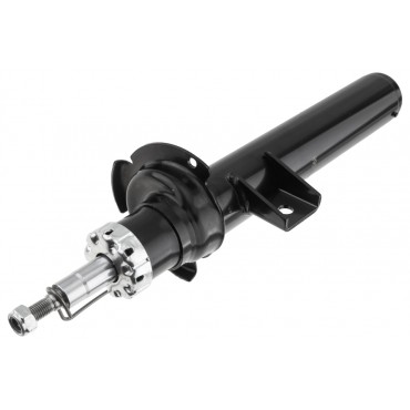 Amortisseur de Suspension Avant Droit Pour BMW X3 F25 X4 F26
