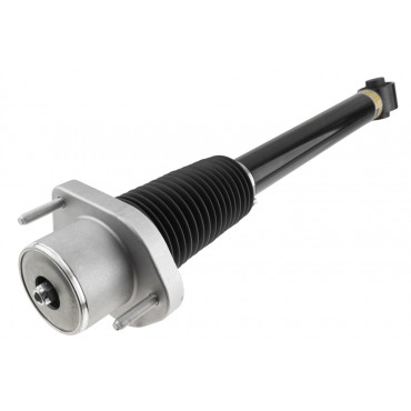 Amortisseur de Suspension Arrière Pour Land Rover