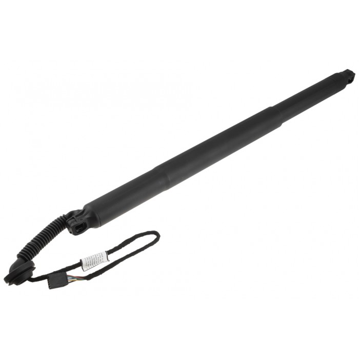 Vérin Hayon de Coffre Droit Pour Chevrolet Trailblazer 42762903