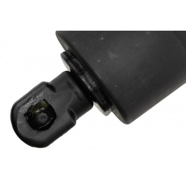 Vérin Hayon de Coffre Gauche Pour Lexus NX II 6891078031