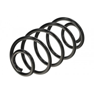 Ressort de Suspension Arrière Pour Opel Astra G 424029, 0424029, 00424029