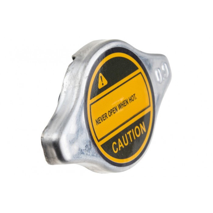 Bouchon de Radiateur Pour Toyota Daewoo Lexus Mazda 121 II 323 P V E-Serie