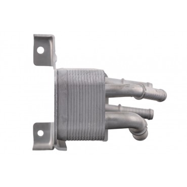 Radiateur d'Huile Moteur Pour Ford Fiesta VII H6BG7J389AF