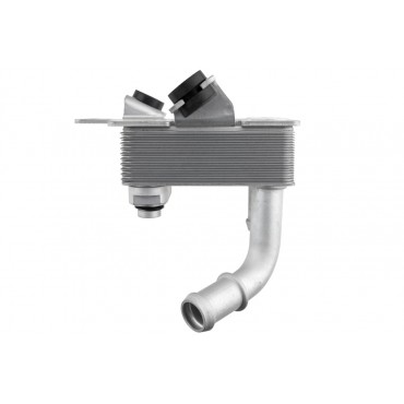 Radiateur d'Huile Moteur Pour Hyundai Kona Kia Niro 25670K4000