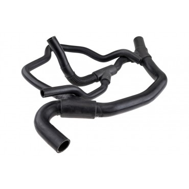 Tuyau Durite Radiateur Pour Renault Clio II 7700414122, 7700834895, 8200031117