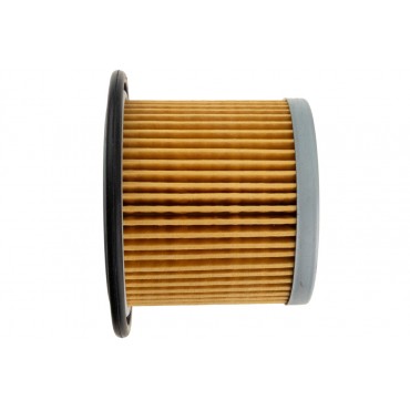 Filtre à Carburant Pour Peugeot Fiat Citroën Hyundai 3190629001, 3190629000