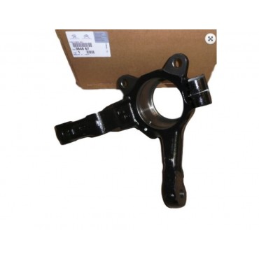 Fusée d'Essieu Avant Gauche Pour Citroën C8