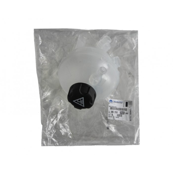 Vase d'Expansion Liquide de Refroidissement Pour Peugeot Opel Fiat Citroën