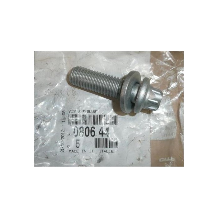 Vis Poulie d'Arbre à Cames Pour Citroën C5 080644