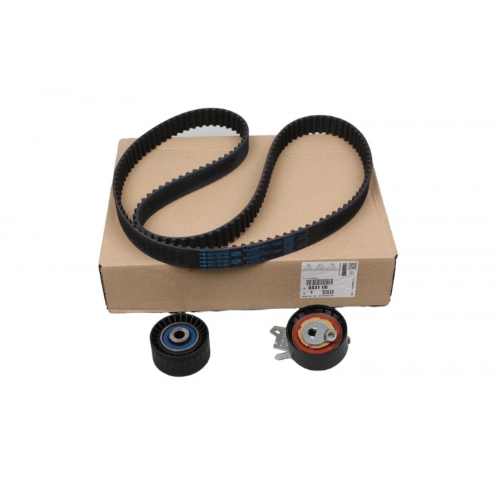 Kit de Distribution Pour Peugeot 307 308 407 807 Expert Citroën C4 C5 C8 Jumpy