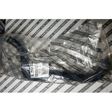 Tuyau du Radiateur Pour Fiat Ducato 1370152080
