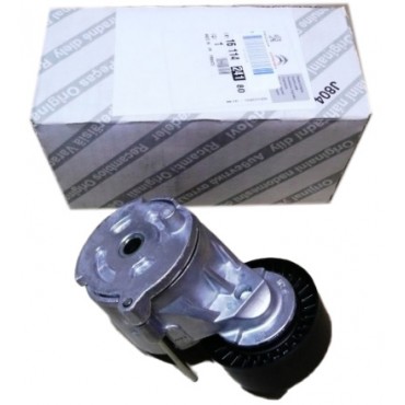 Galet Tendeur Courroie d'Accessoire Pour Peugeot Opel Fiat Citroën 1611424180