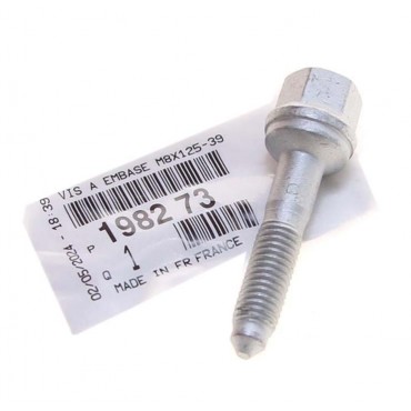 Vis Bride Fixation Injecteur Pour Peugeot 107 206 207 307 406 1007 Bipper Boxer