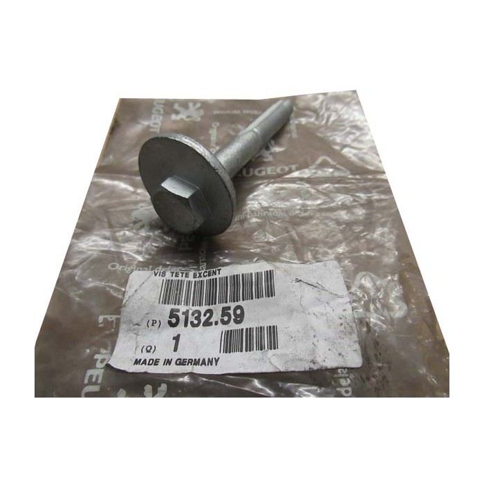 Vis Bras de Suspension Pour Peugeot 406 513259