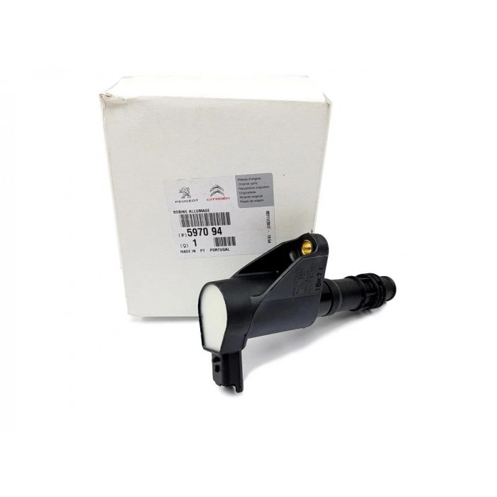 Bobine d'Allumage Pour Peugeot Renault Avantime Fiat Citroën 597077, 597094