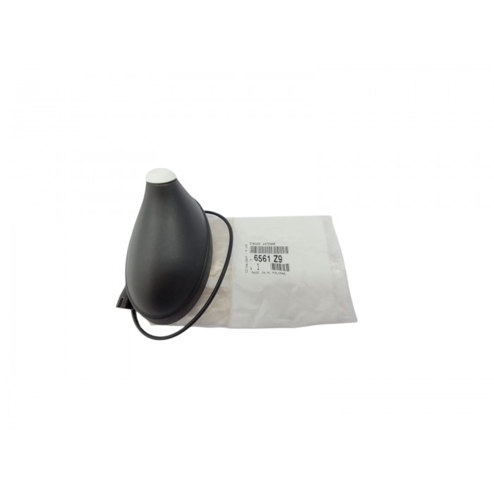 Base d'Antenne Pour Citroën C5