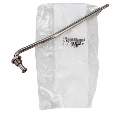 Tube de Capteur Pression FAP Pour Peugeot Citroën Berlingo C4 DS4 DS 9805696480