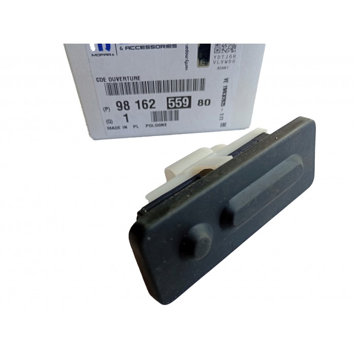 Poignée Ouverture Hayon de Coffre Pour Peugeot 3008 9816255980