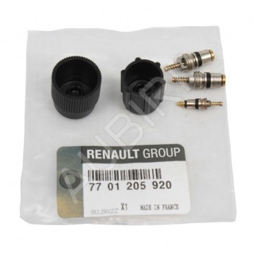 Soupape Valve Climatiseur Pour Renault Kangoo Master II III Pro 7701205920