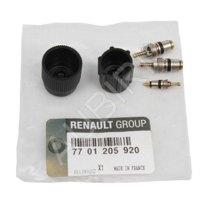 Soupape Valve Climatiseur Pour Renault Kangoo Master II III Pro 7701205920