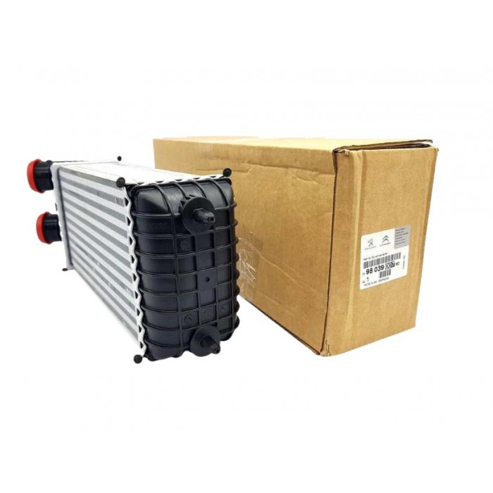 échangeur d'Air Intercooler Pour Citroën 0384N7, 9803900780, 3637009, 0384N8