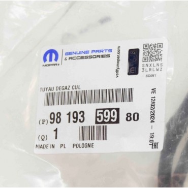 Tuyau du Radiateur Pour Citroën Jumpy 9819359980